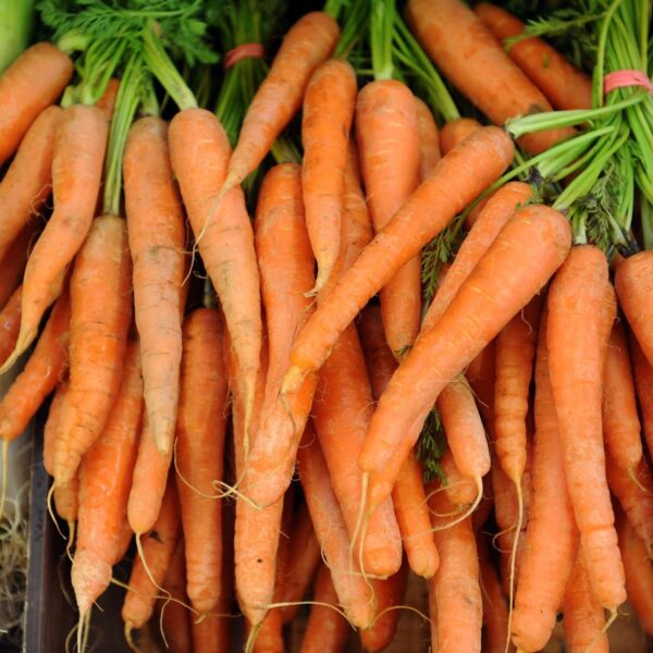 Kleine boeren winnen worteloorlog in Californië