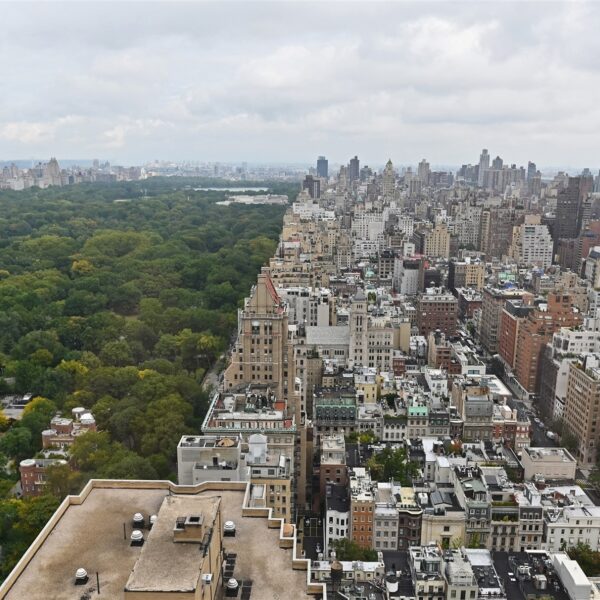 Wat doet een walvis in New York?