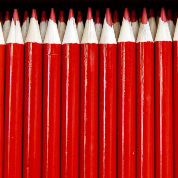 Hoe stevig staat onze democratie nog?