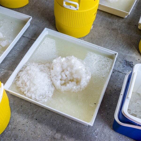 Podcast De Dag: 'Pablo Icecobar' en crystal meth in Nederland
