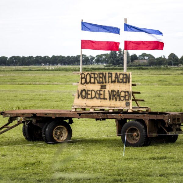 Oorlogsveteraan: omgekeerde vlaggen 'heel storend'