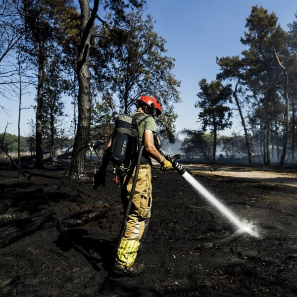 Het koelste idee van Nederland