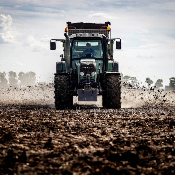 'Er is geen wetenschappelijke onderbouwing voor de strenge mestnorm in Nederland'