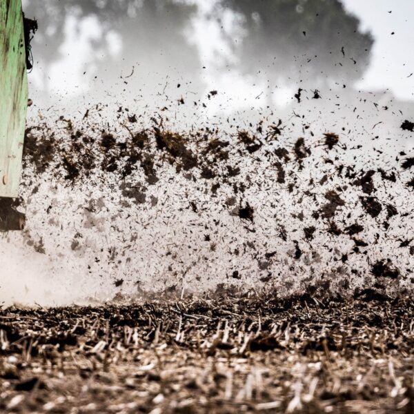 Melkveehouder Geertjan vreest voor zijn toekomst: 'Mest afvoeren wordt onbetaalbaar'