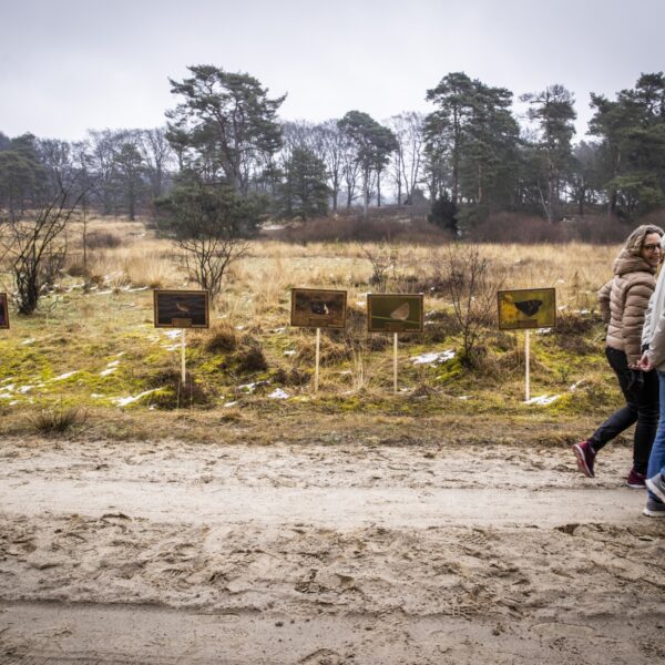 De natuur in Nederland gaat alleen maar verder achteruit, stelt ecoloog Mark Zekhuis