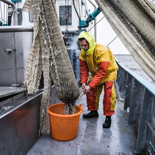 Natuurcompensatie: spannend jaar voor de Zeeuwse en Zuid-Hollandse vissers