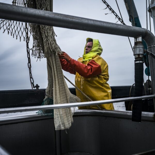 'Dit is niet alleen het einde van de garnalenvisserij, maar van de totale visserij'