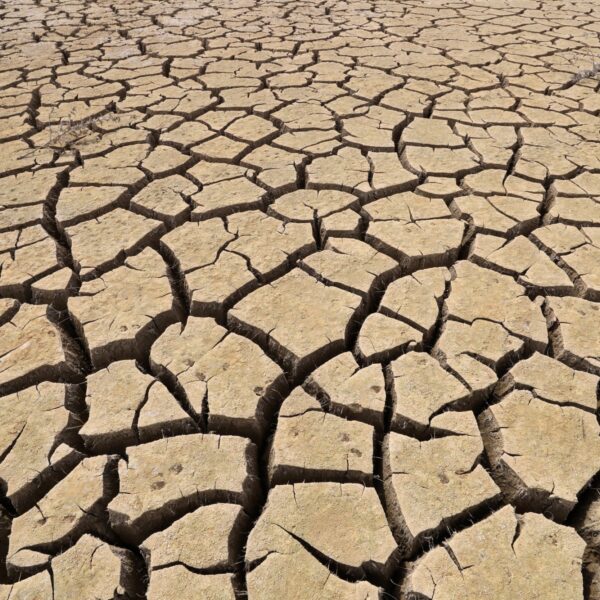 Podcast De Dag: El Niño is back