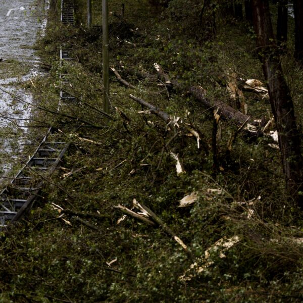 Podcast De Dag: de noodscenario's van het KNMI