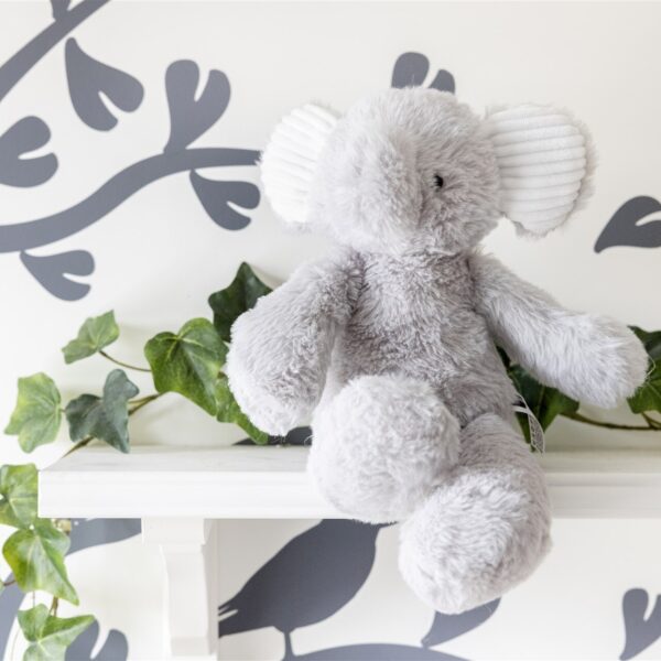 'Een kind in jeugdzorg moet beter af zijn dan thuis'