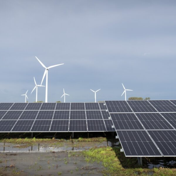 'Groene groei? Stop met groei!' zegt deze econoom
