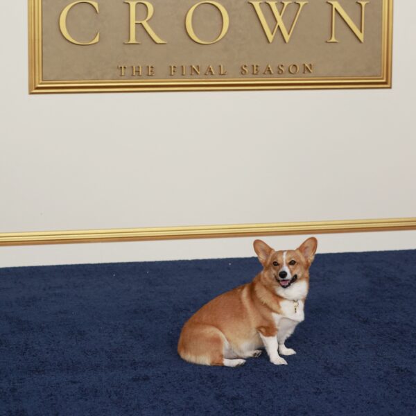 Podcast De Dag: het mooie en de missers van The Crown