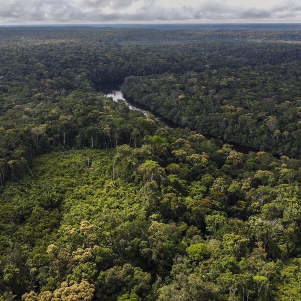 Podcast De Dag: de (vieze) wereld achter CO2-compensatie
