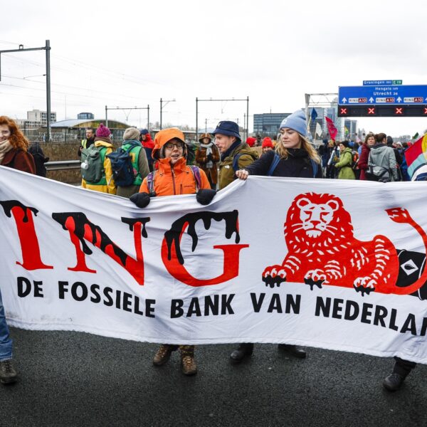 Waarom kunnen grote organisaties zich niet aansluiten bij een duurzame bank?