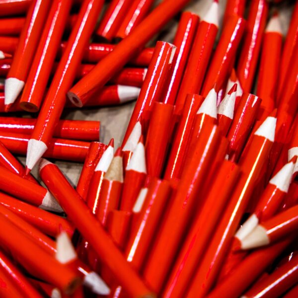 2 miljard mensen naar stembus: maar zijn verkiezingen genoeg voor een goede democratie?