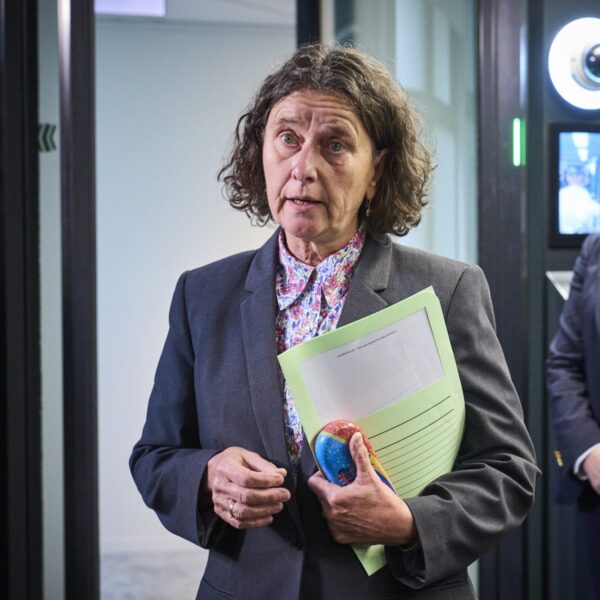 'Marjolein Faber is perfect gecast als Minister van Asiel en Migratie'