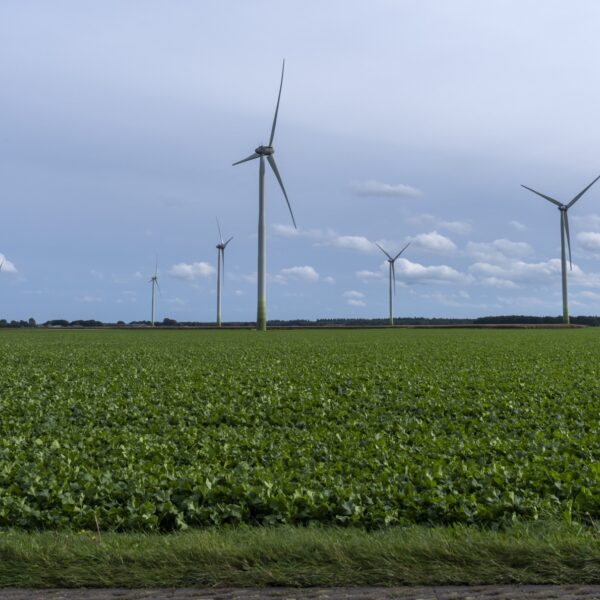 Diederik Gommers over de gezondheidsrisico's van windmolens en het tekort aan betrouwbare informatie