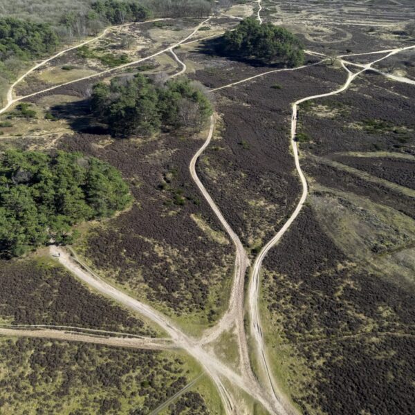 Stikstofdepositie in kustgebieden fors overschat: 'Ik had in feite hartstikke gelijk'
