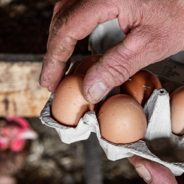 Is PFAS in ons voedsel altijd gevaarlijk? 'Het gaat om de hoeveelheid'