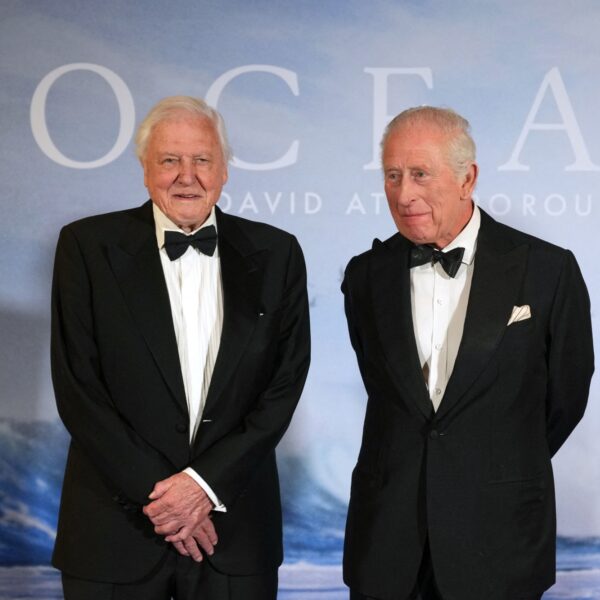 Podcast De Dag: de stem van de natuur is jarig: David Attenborough