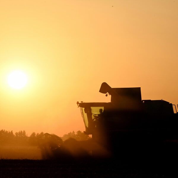 Doelbewuste desinformatie houdt klimaatbeleid tegen, met hulp van radicaal-rechts