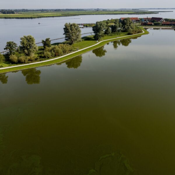 Waarom is de waterkwaliteit in Nederland zo slecht?