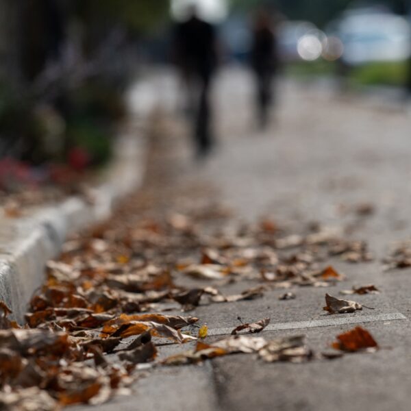 Vroege herfst door droogte: 'De natuur gaat knock-out'