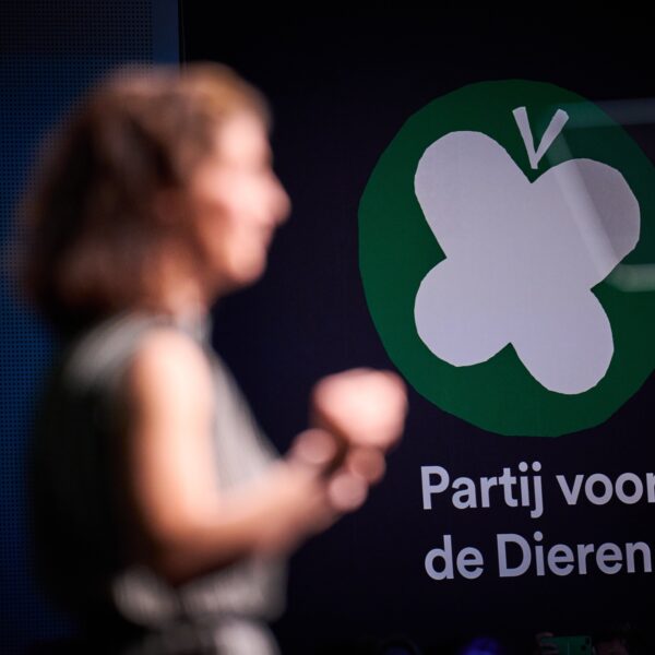 Econoom zeer kritisch op programma Partij voor de Dieren: 'Totaal geen financiële onderbouwing'