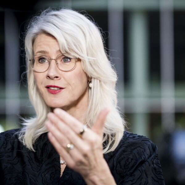 Raad van State vijandig tegenover demissionair kabinet, stelt bestuurskundige