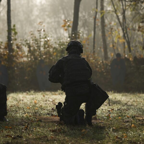 Podcast De Dag: Duitse dienstplicht-discussie: verplichten of ... loten?