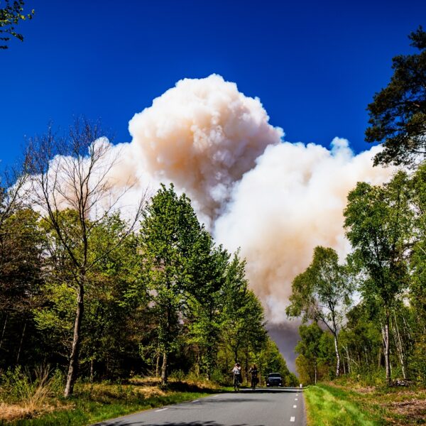 Hoeveel natuur is er verloren gegaan bij de brand op defensieterrein 't Harde?