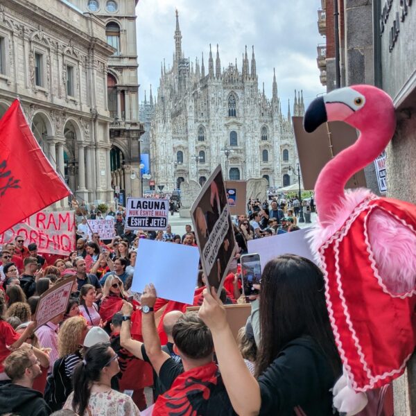 Het groeiende flamingoprotest in Albanië