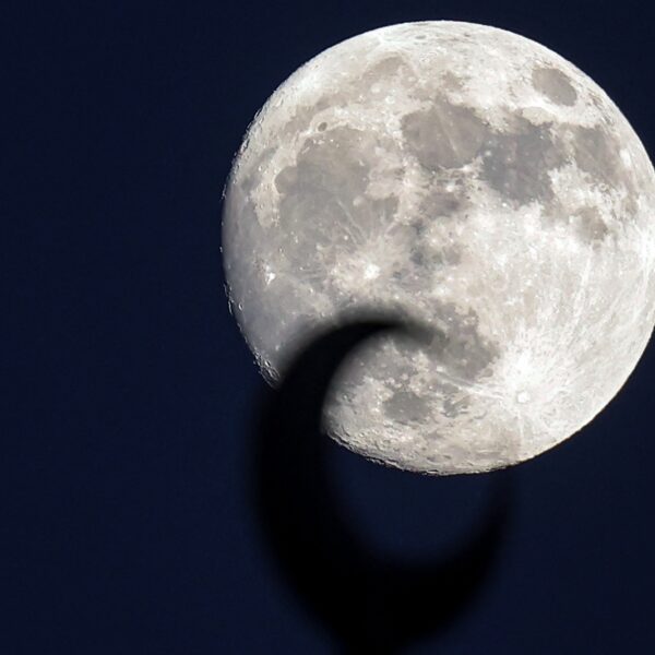 Sterrenbeelden blijven populair: 'Biedt mensen houvast'