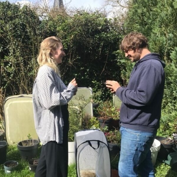 Insectenverzamelaar: 'Als je er één leert kennen, leer je ze allemaal kennen'