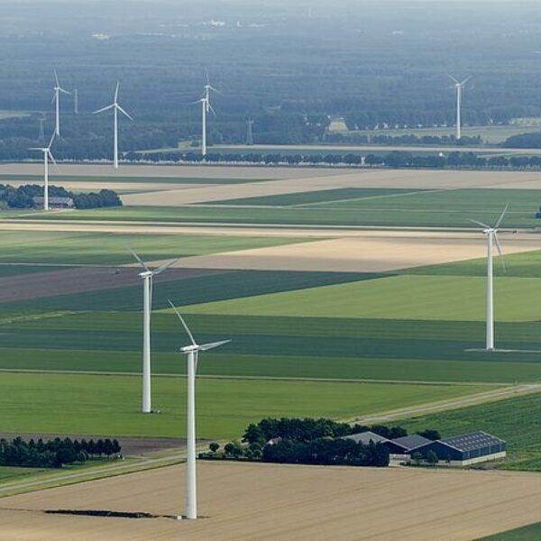 Flevoland heeft vruchtbare grond voor nieuwe partijen