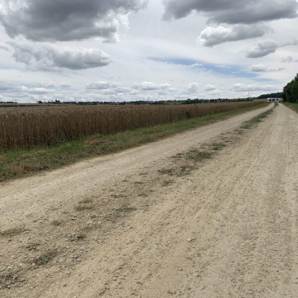 De stilte op de strook