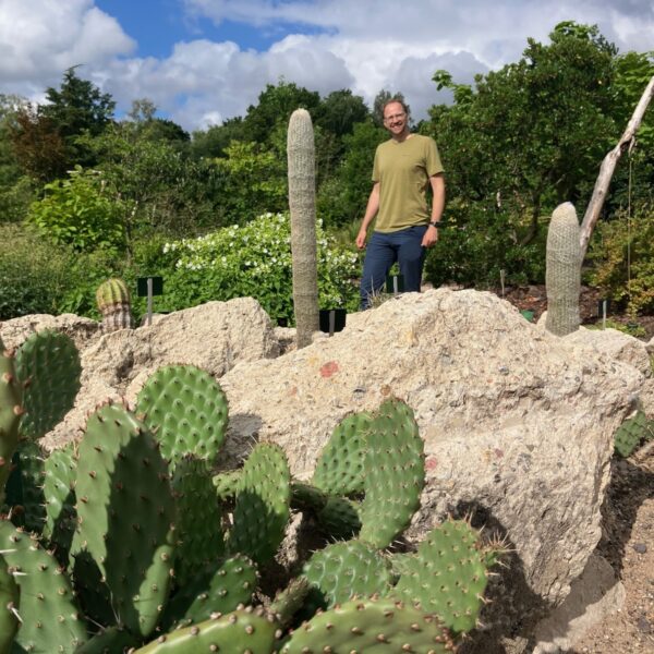 In de evolutietuin maak je een tijdreis door 900 miljoen jaar plantenevolutie