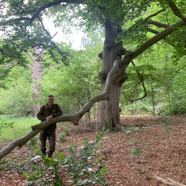 Het bos stikt van de moeders en 'de lindeboom is de oermoeder'