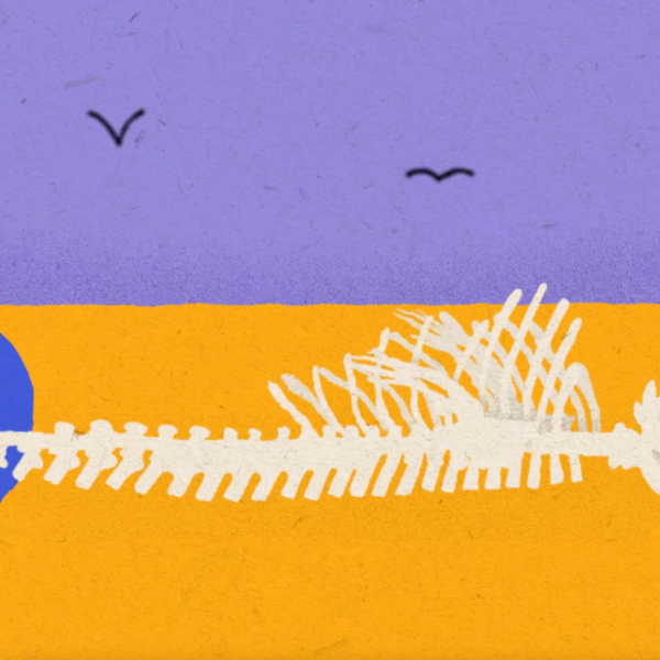 Vechtende mammoetstieren: Zo klonk Nederland 150 duizend jaar geleden!