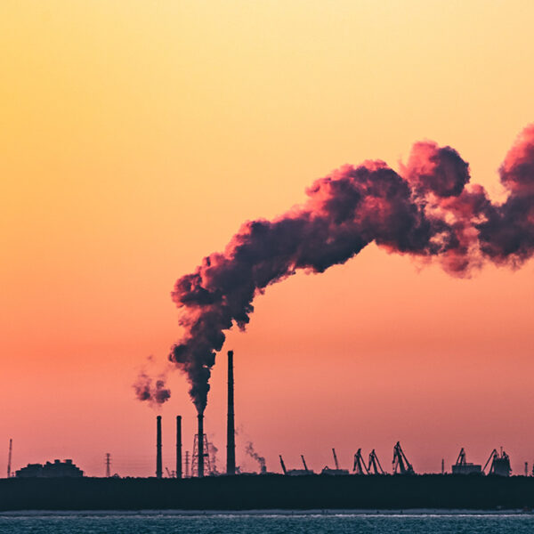 Handel in CO2-certificaten belemmert klimaatdoelen: 'Bedrijven gaan nauwelijks minder uitstoten'
