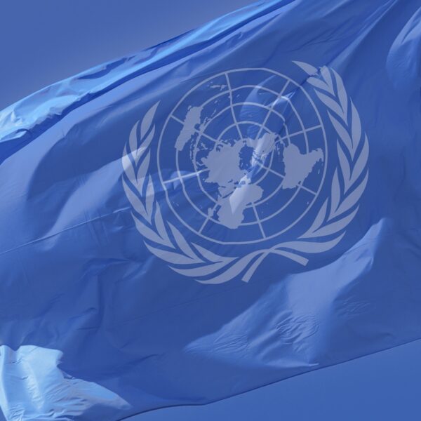 Pleidooi voor daadkrachtige VN: 'Constructie is niet meer van deze tijd'