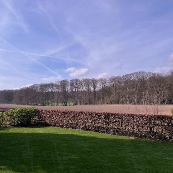 Actie tegen fastfooddrive-in aan rand van de natuur in Rheden
