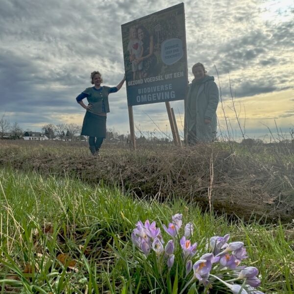 Zelfoogsttuin Wortels in Breda moet wijken