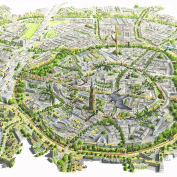 Amersfoort geeft natuur de ruimte