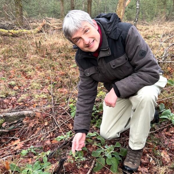 Ecoloog redt bos van stikstofondergang door middel van kalk