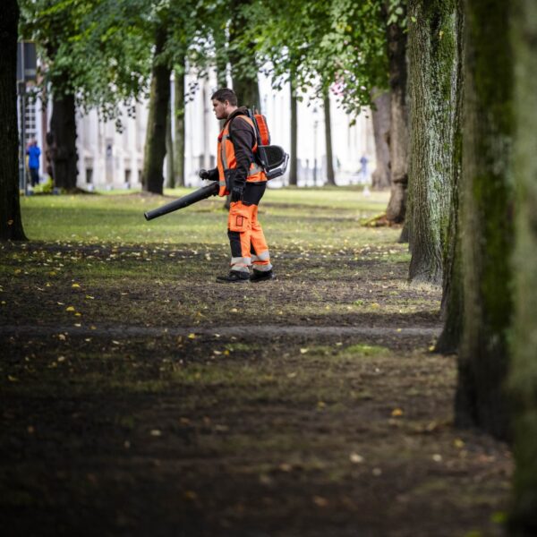 'Omarm de bladeren' als voeding voor de grond: 'Gemeentes, stop met bladblazen'