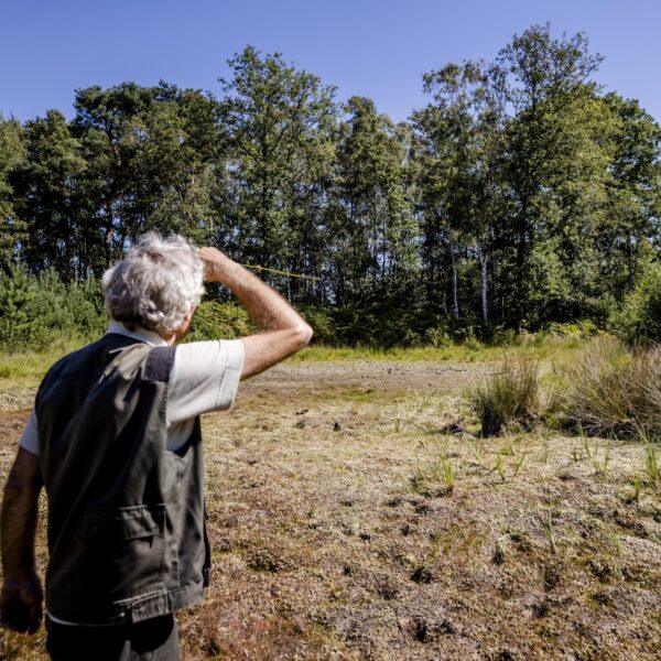 Boswachters zien grote problemen in Nederland: 'Natuur staat aan alle kanten onder druk'