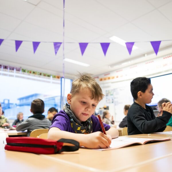 Gratis opleiding oplossing voor lerarentekort? 'Dit is een no brainer'