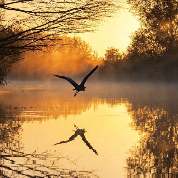 Miljoenen minder naar Nederlandse Nationale Parken: gevolgen zijn groot