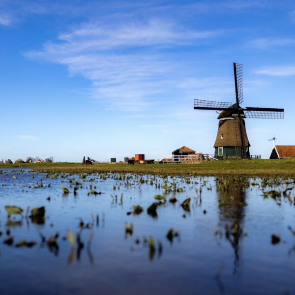 Waarom noemen we Nederland ook wel 'het kikkerlandje'?